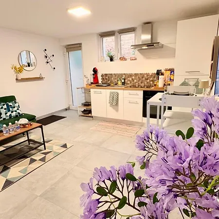 Cocon Urbain , Bel Entierement Equipe, Entree Privee, Parking * Wittenheim